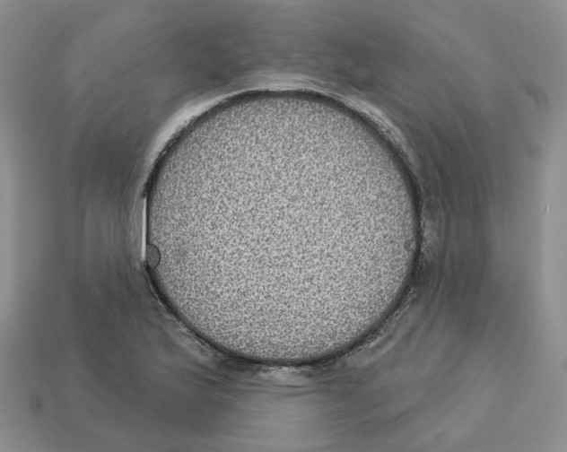 X0000113181175200910021537