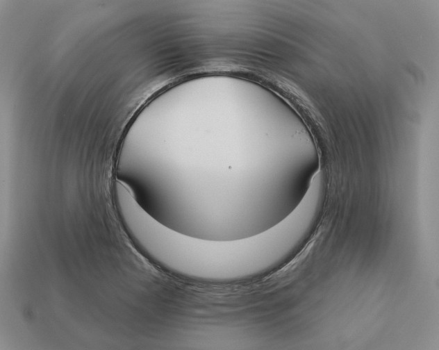 X0000113181177200910021537
