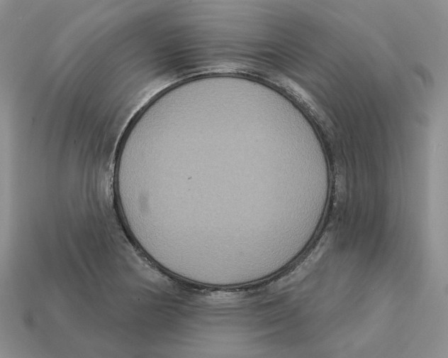 X0000113181178200910021537