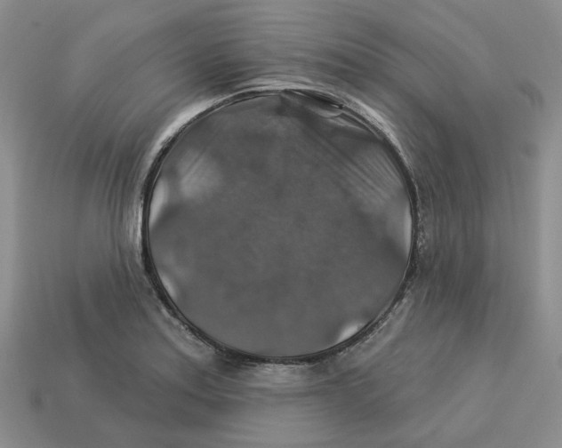 X0000113181179200910021537