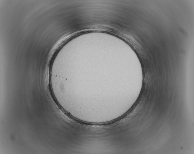 X0000113181180200910021537