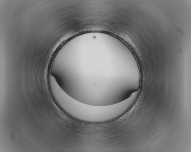 X0000113181181200910021537