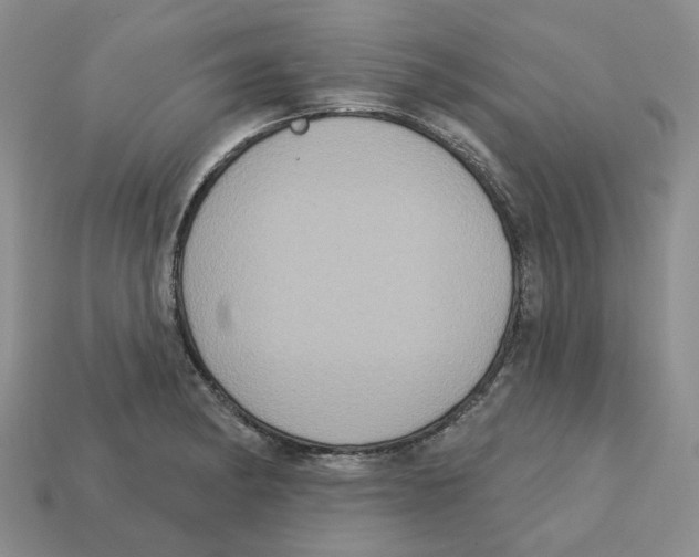 X0000113181182200910021537