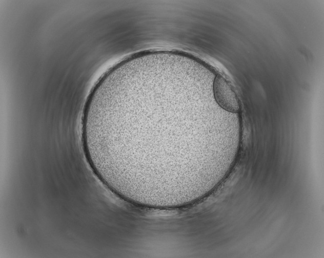 X0000113181183200910021537
