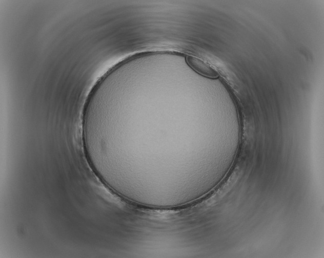 X0000113181184200910021537