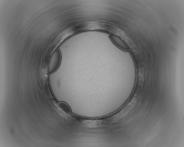 X0000113181185200910021537