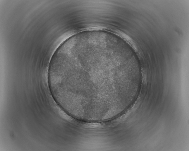 X0000113181186200910021537