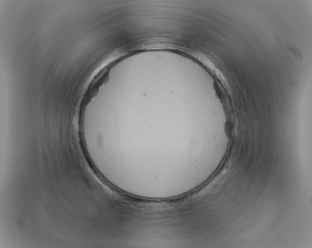 X0000113181189200910021537