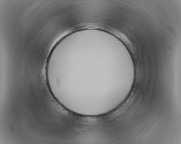 X0000113181190200910021537