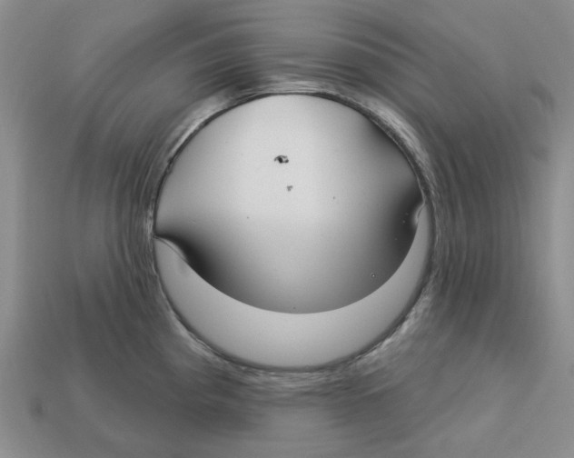 X0000113181193200910021537