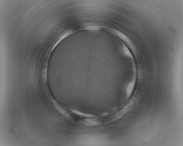 X0000113181194200910021537