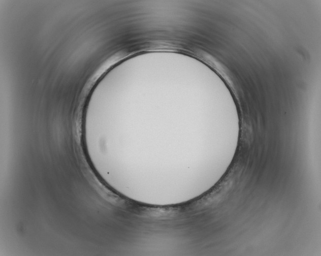 X0000113181195200910021537