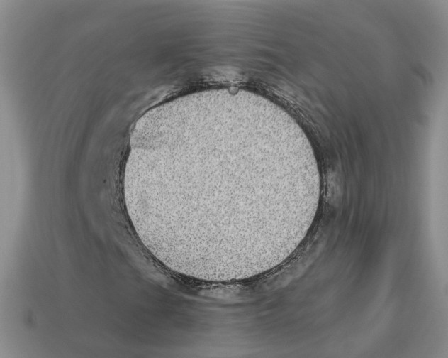X0000113181201200910021536