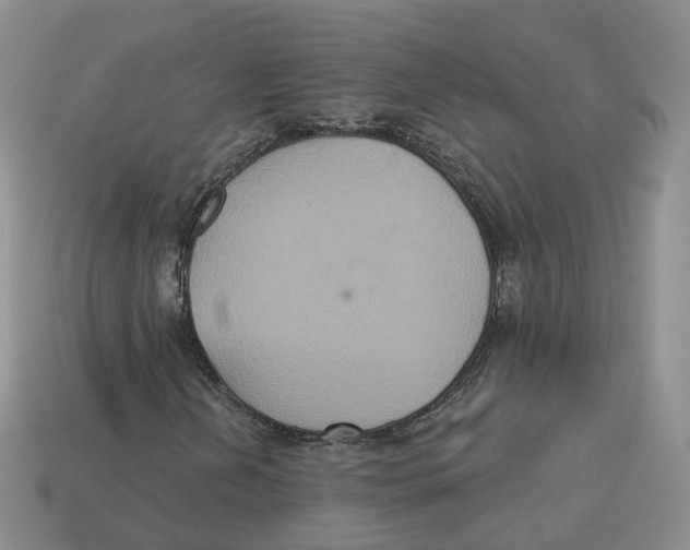 X0000113181202200910021536