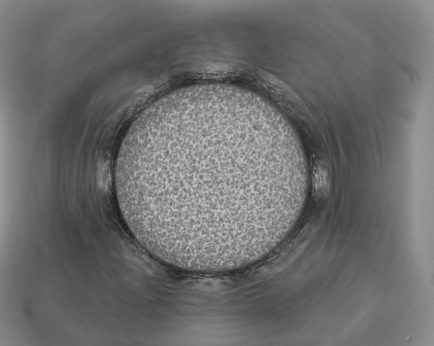 X0000113181204200910021536