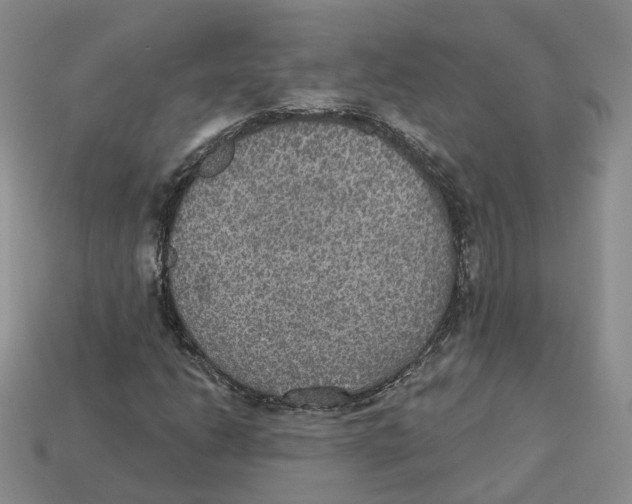 X0000113181206200910021536