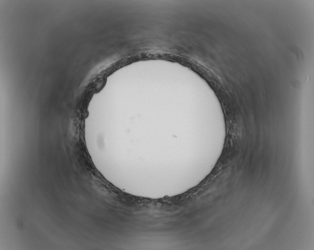 X0000113181207200910021536