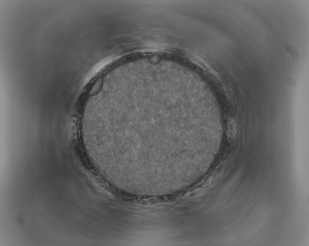X0000113181208200910021536