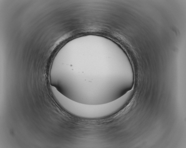 X0000113181210200910021536