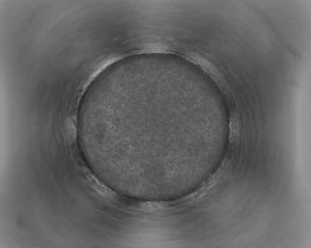 X0000113181212200910021536