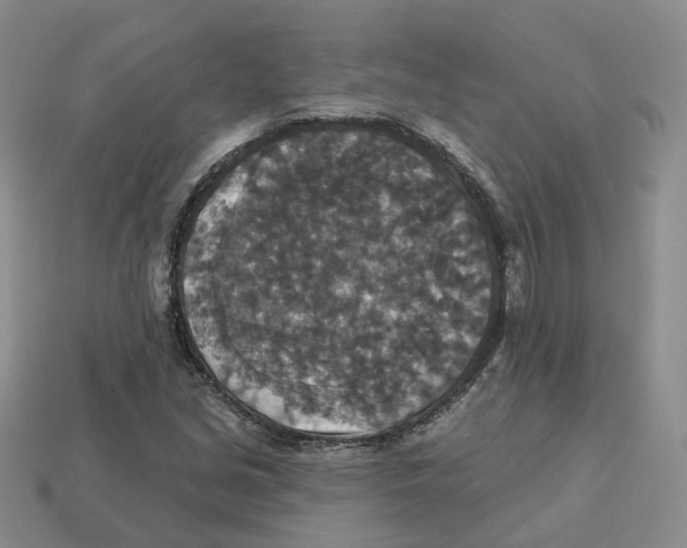 X0000113181213200910021536