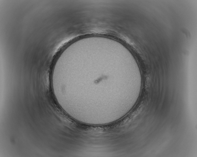 X0000113181214200910021536