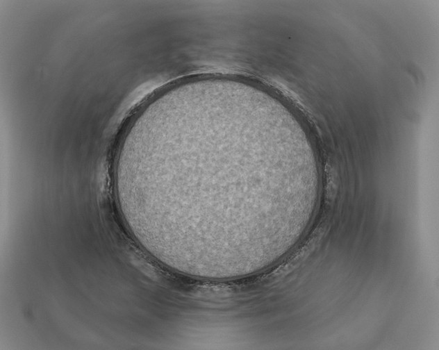 X0000113181215200910021536