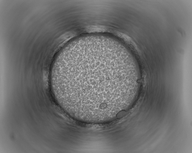 X0000113181217200910021536
