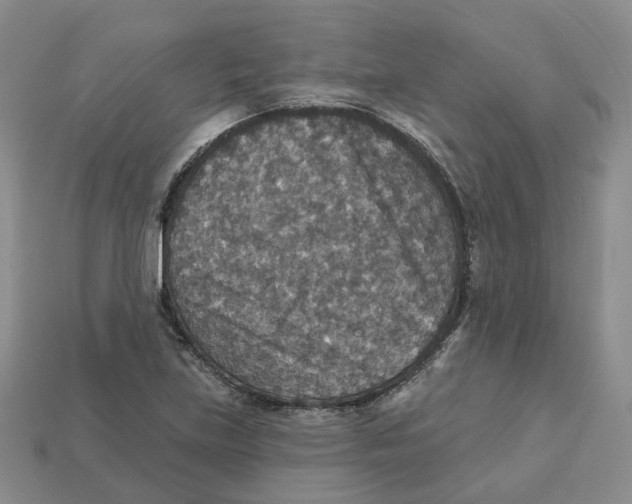 X0000113181219200910021536
