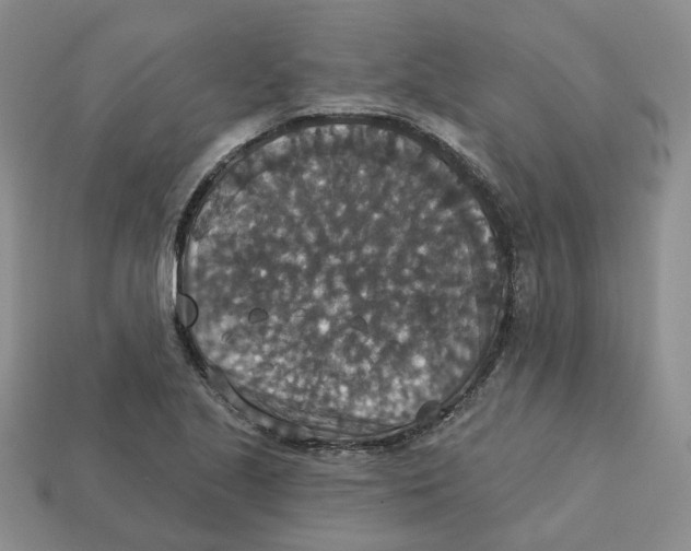 X0000113181221200910021536
