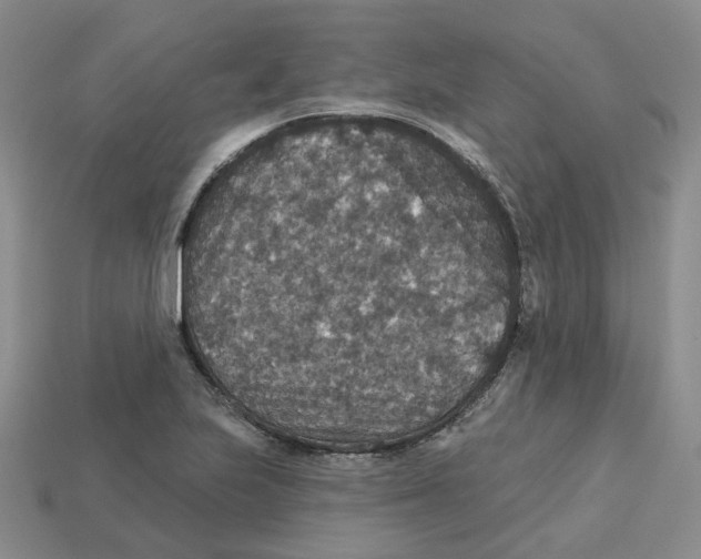 X0000113181223200910021536