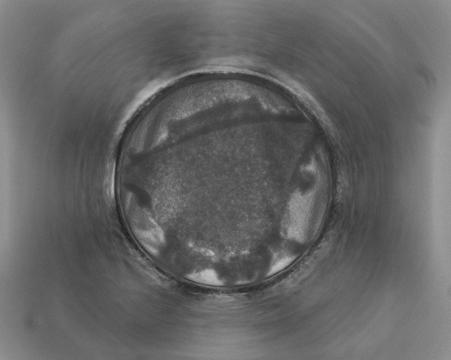 X0000113181224200910021536