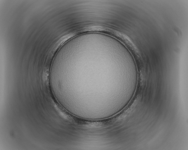 X0000113181225200910021536