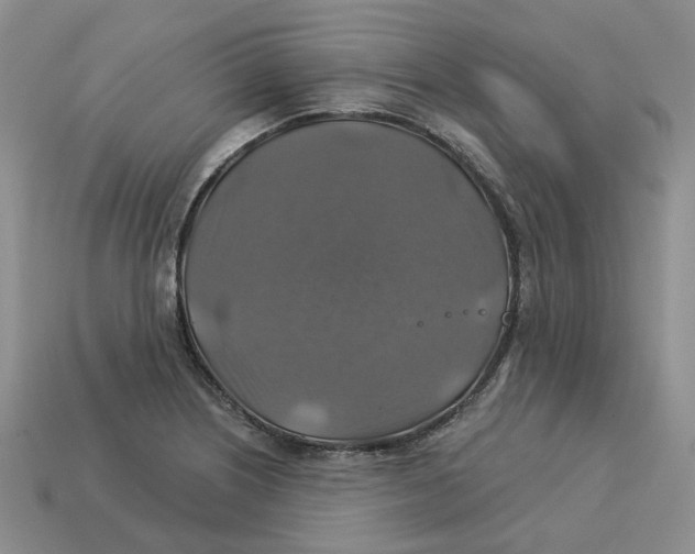 X0000113181226200910021536