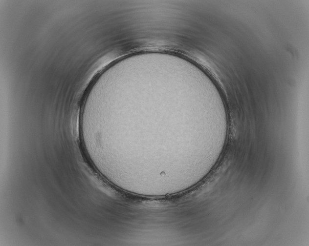 X0000113181227200910021536