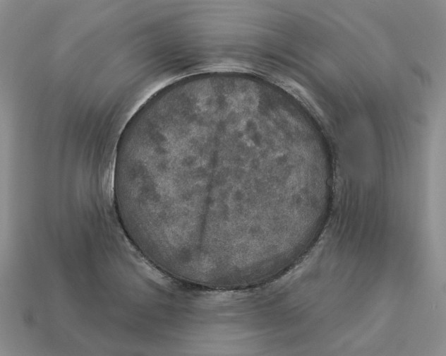 X0000113181228200910021536