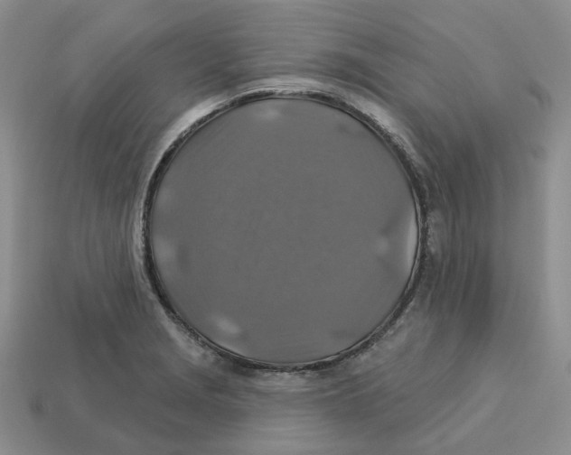 X0000113181229200910021536