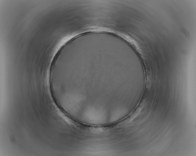 X0000113181231200910021536