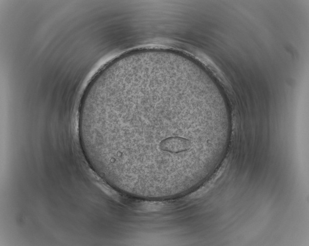 X0000113181232200910021536