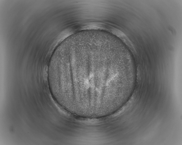 X0000113181233200910021536