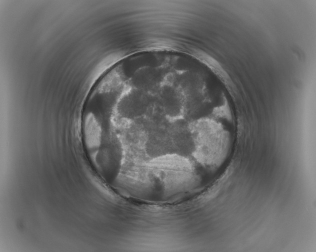 X0000113181234200910021536