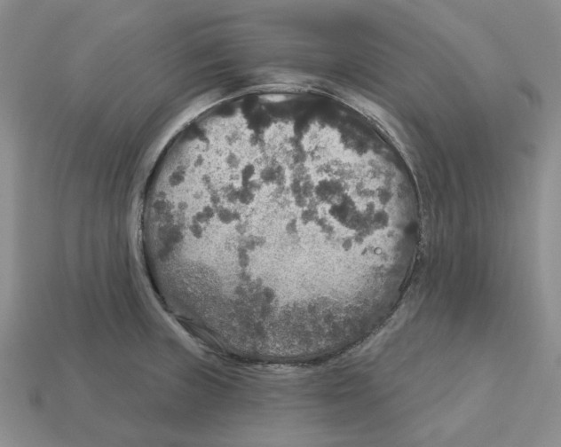 X0000113181235200910021536