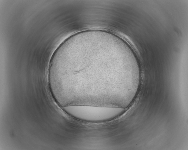 X0000113181236200910021536