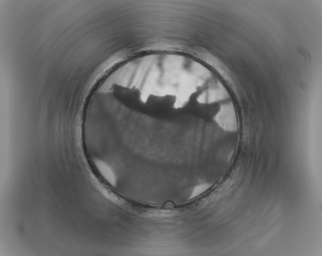 X0000113181237200910021536