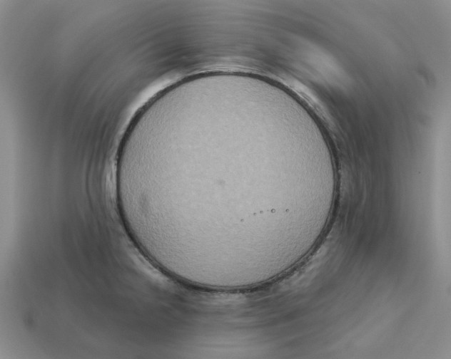 X0000113181238200910021536