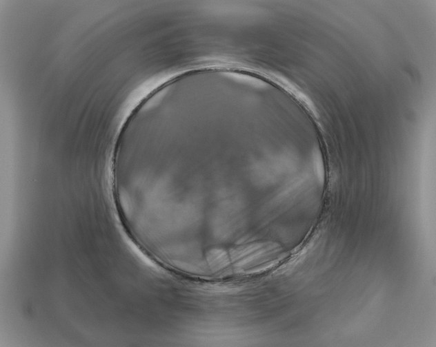 X0000113181239200910021536