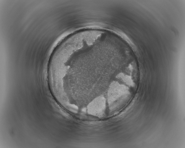X0000113181240200910021536