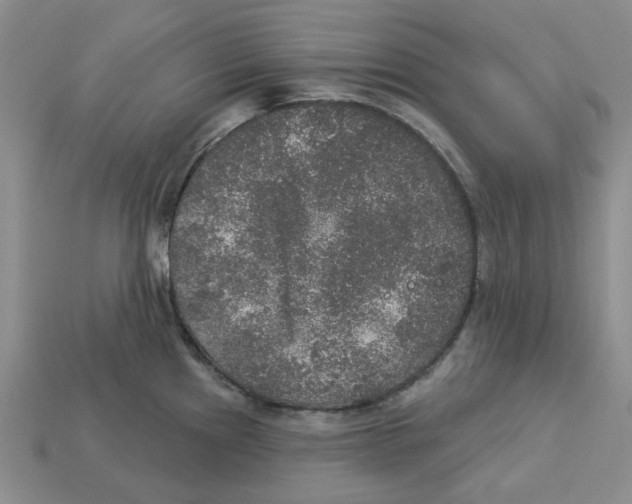 X0000113181241200910021536