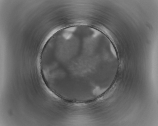 X0000113181243200910021537
