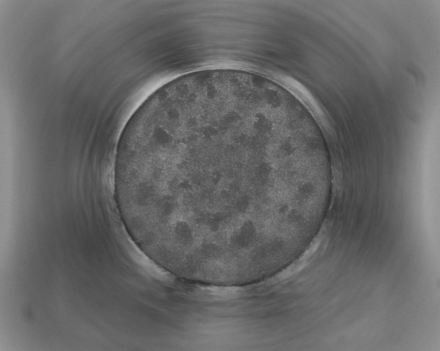 X0000113181244200910021537